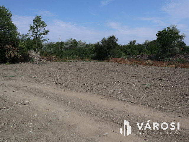 Szőreg kiváló részén, belterületi építési telek! 4