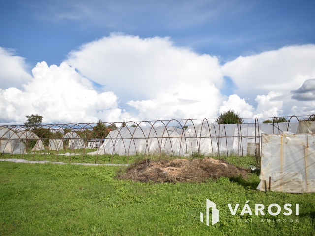 Kiváló lehetősség termelőknek!