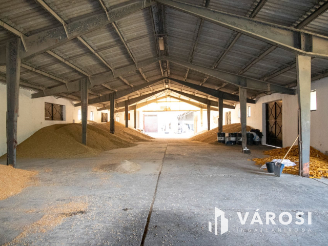 Kiváló adottságú telephely, vasúti iparvágánnyal