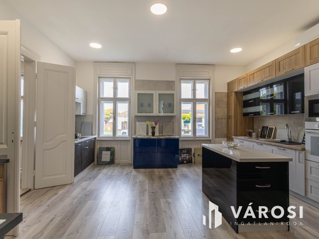 Bejáratott üzlet és polgári családi ház egyben