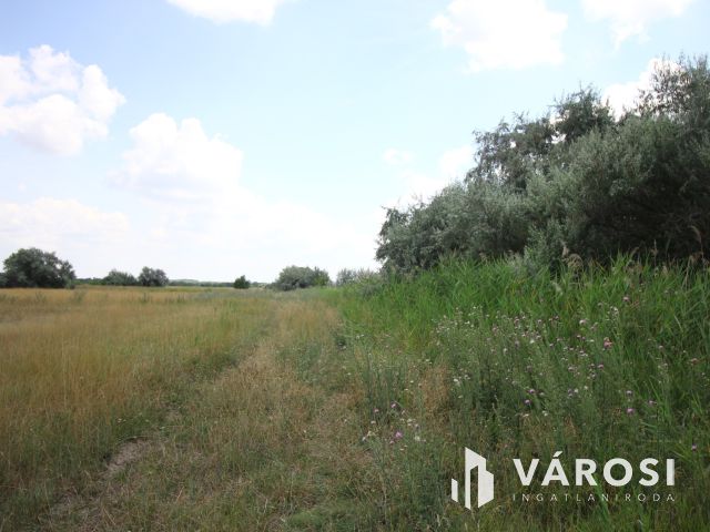 Nomád állattartásra alkalmas