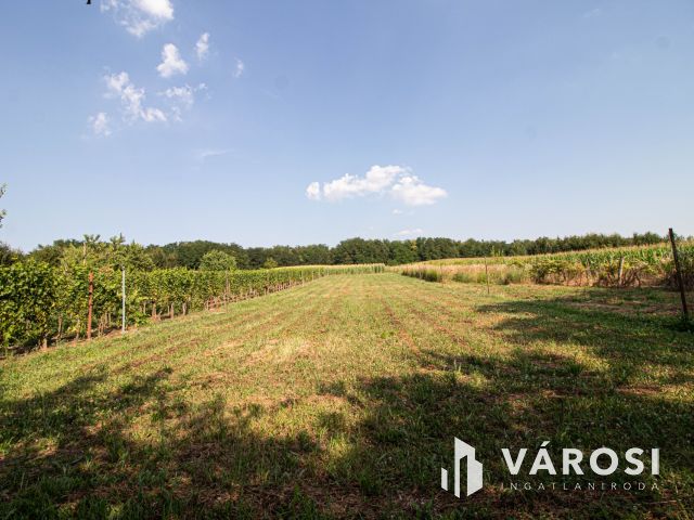 2 zártkerti ingatlan egyben