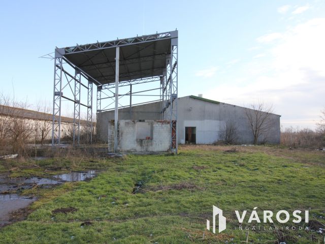 Eladó Major vásárhely határában