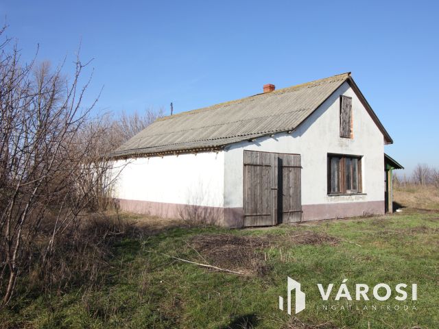 Eladó Major vásárhely határában