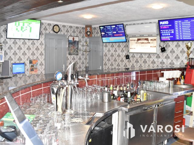 Családias vendéglátó saját vendégkörrel!