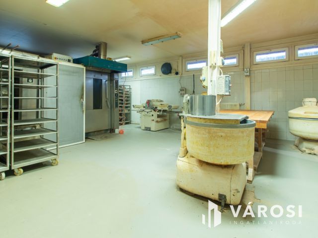 Családi ház és üzleti ingatlan egyben eladó Pátyon !