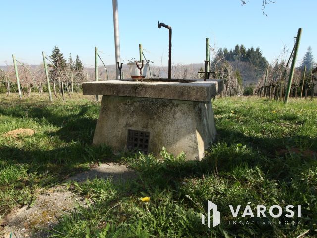 Nagykanizsa közelében csodálatos birtok, lakható épülettel