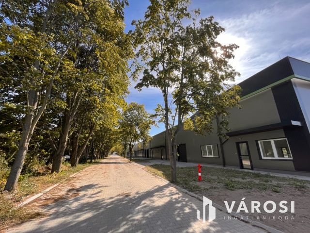 Eladó új, 322 m2-es raktárcsarnok Alsónémedin