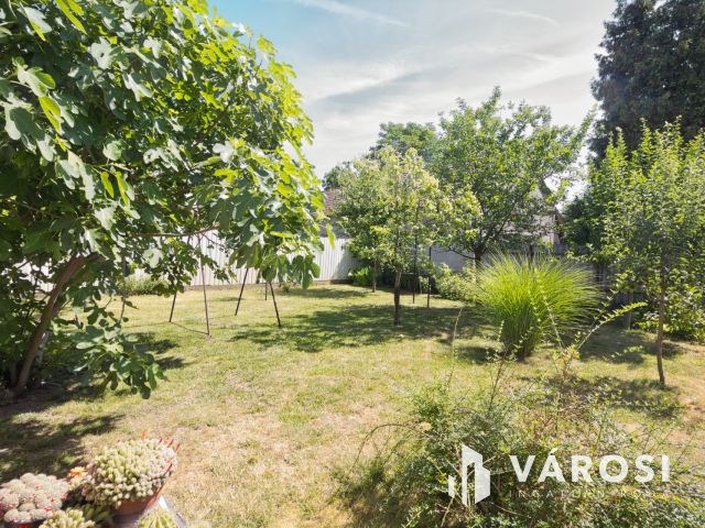 Vásárhelyen, csendes otthon a belvárosban