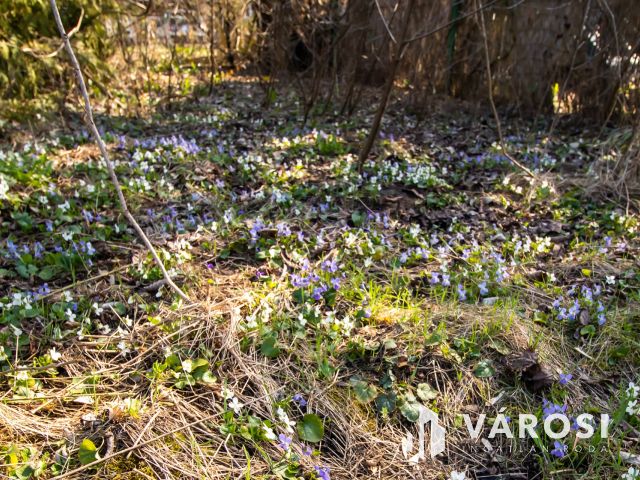 Eladó velencei családi ház csendes helyen