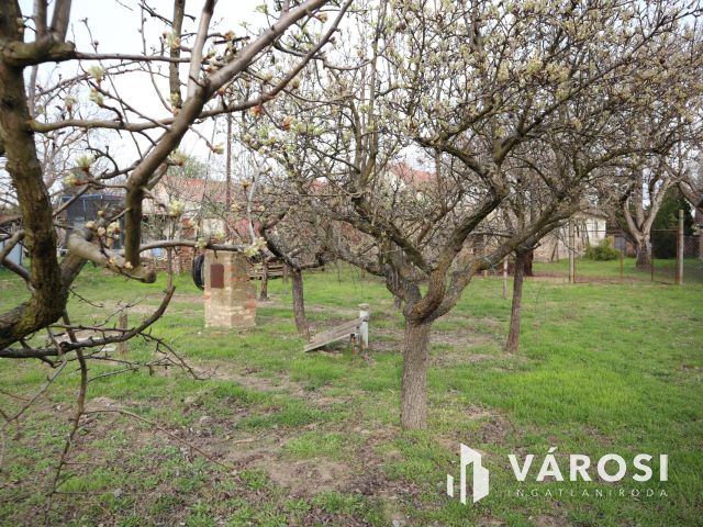 Eladó telek Szőregen, közel a Szerb templomhoz!